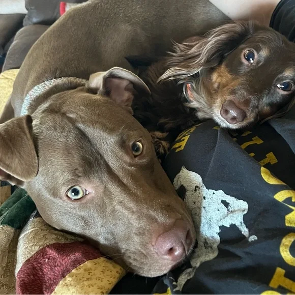 💜Friday, April 10th, I am going LIVE with the Fab Friday Train SHARE SHOWS💜 - Picture 4 of 11